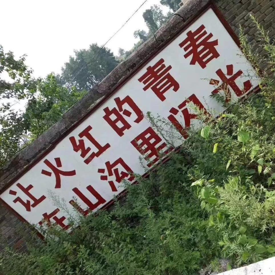 撕夜