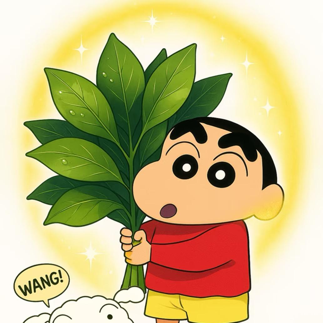 小渝转暴渝