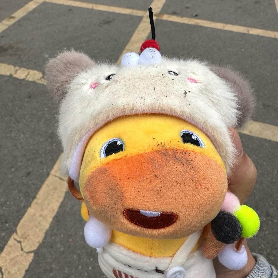 吃得下两口麦当当