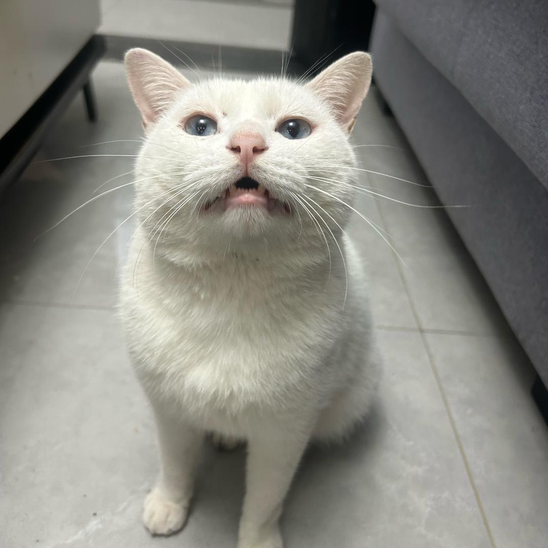 真没什么好说的