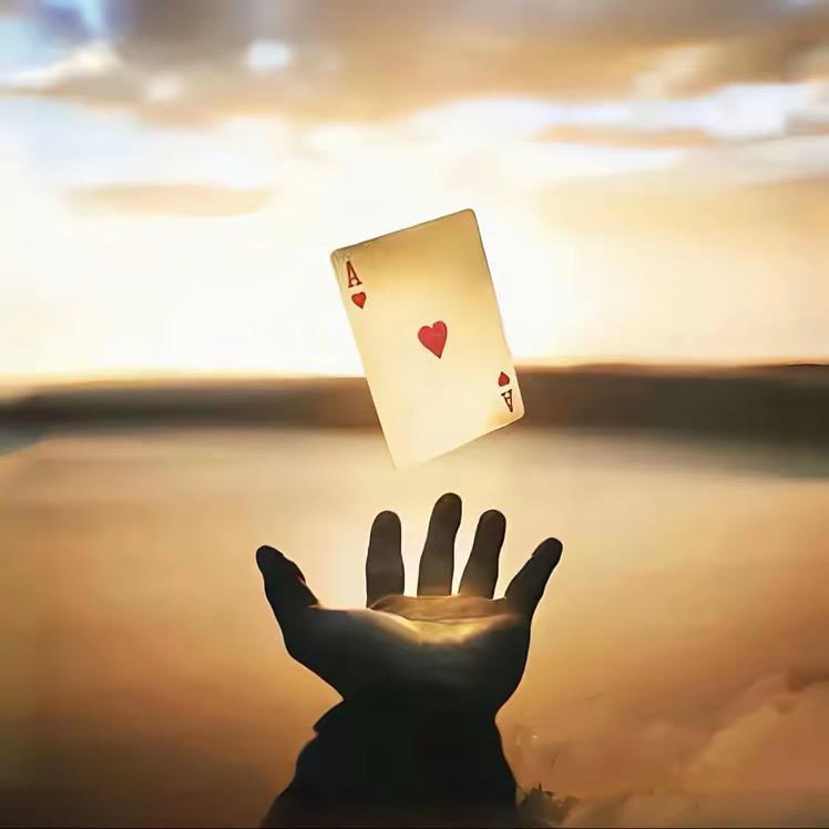 0539车驾管（鲁w）