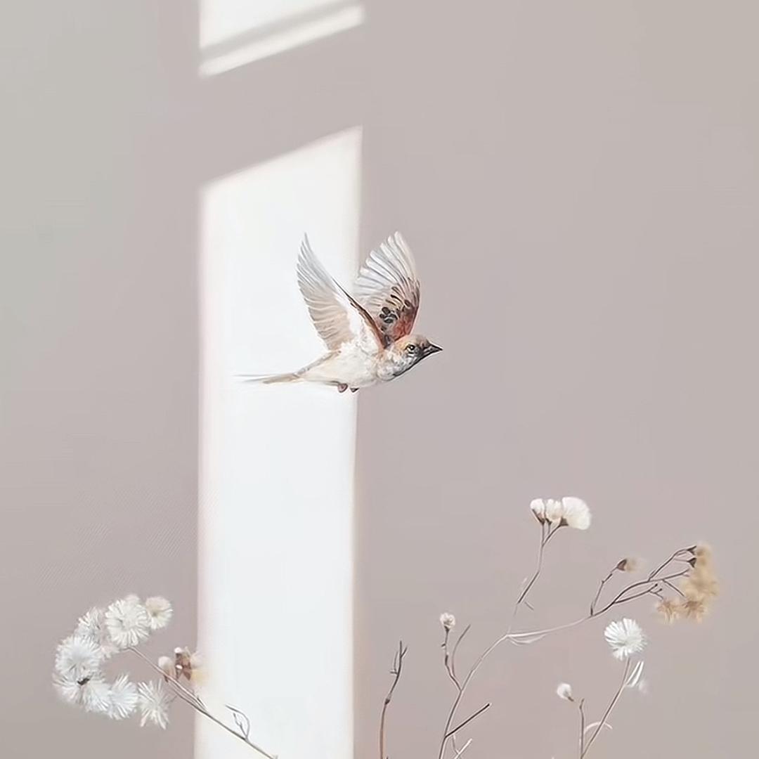 马疯菜