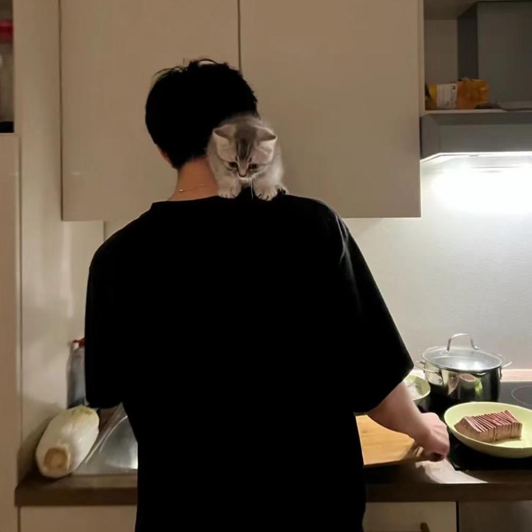 吱屋猪