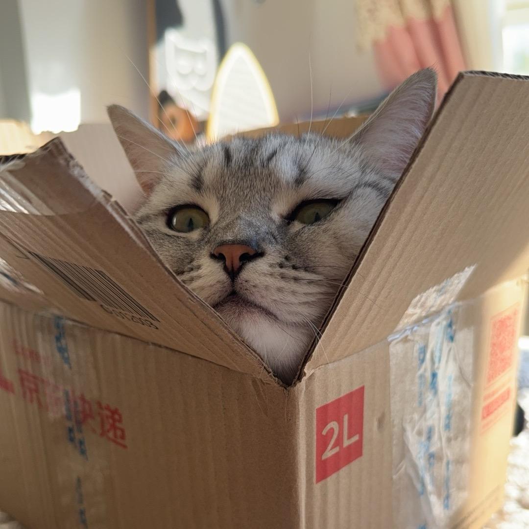 没理都有李小姐