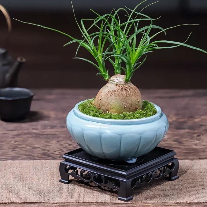 昊棱陶瓷花盆