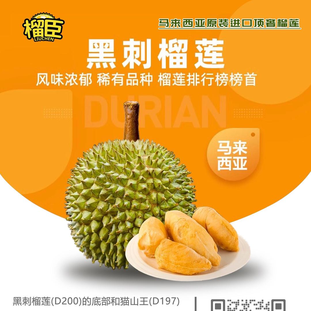 泉州榴臣猫山王小时达
