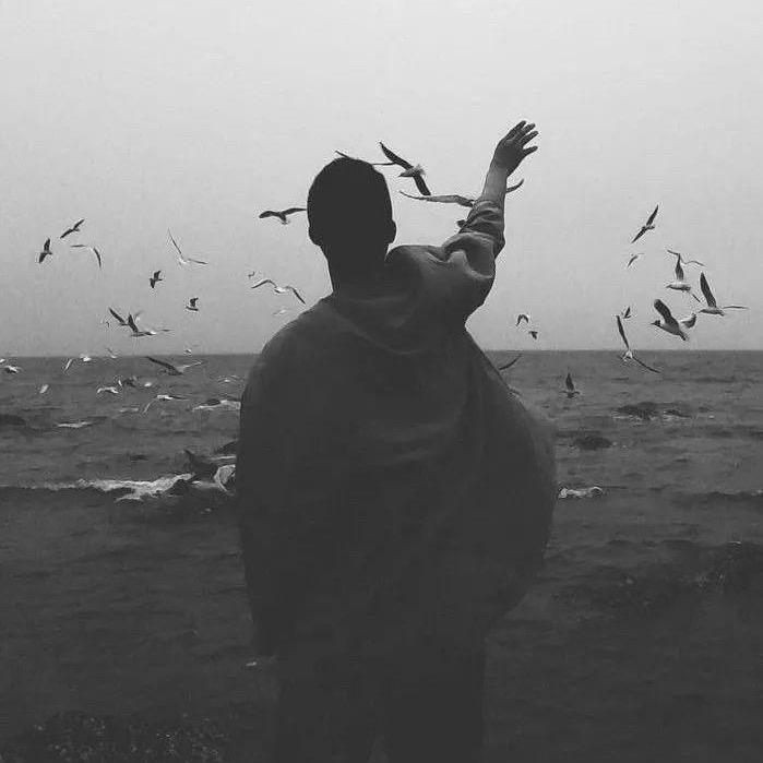 气质征服了所有