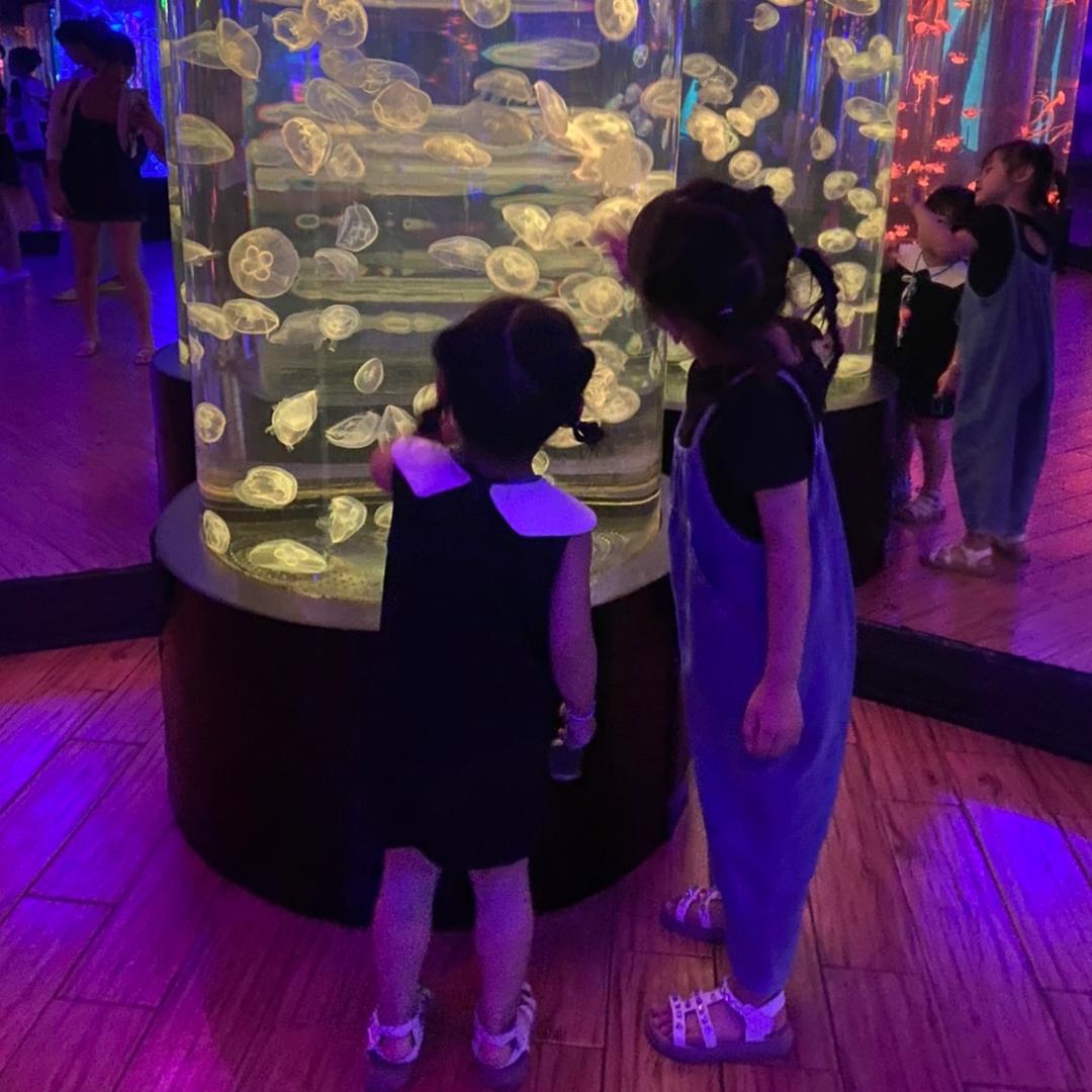 小萍儿~