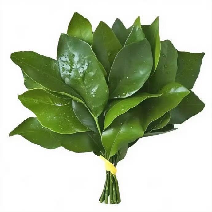 摆烂大小姐在广州