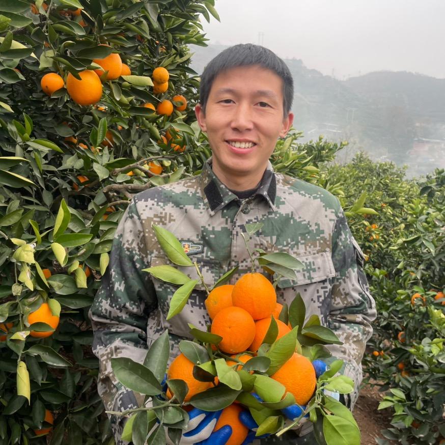 兵哥哥奉节脐橙