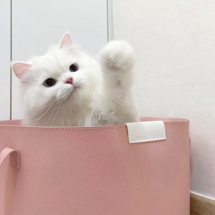 盆盆daw