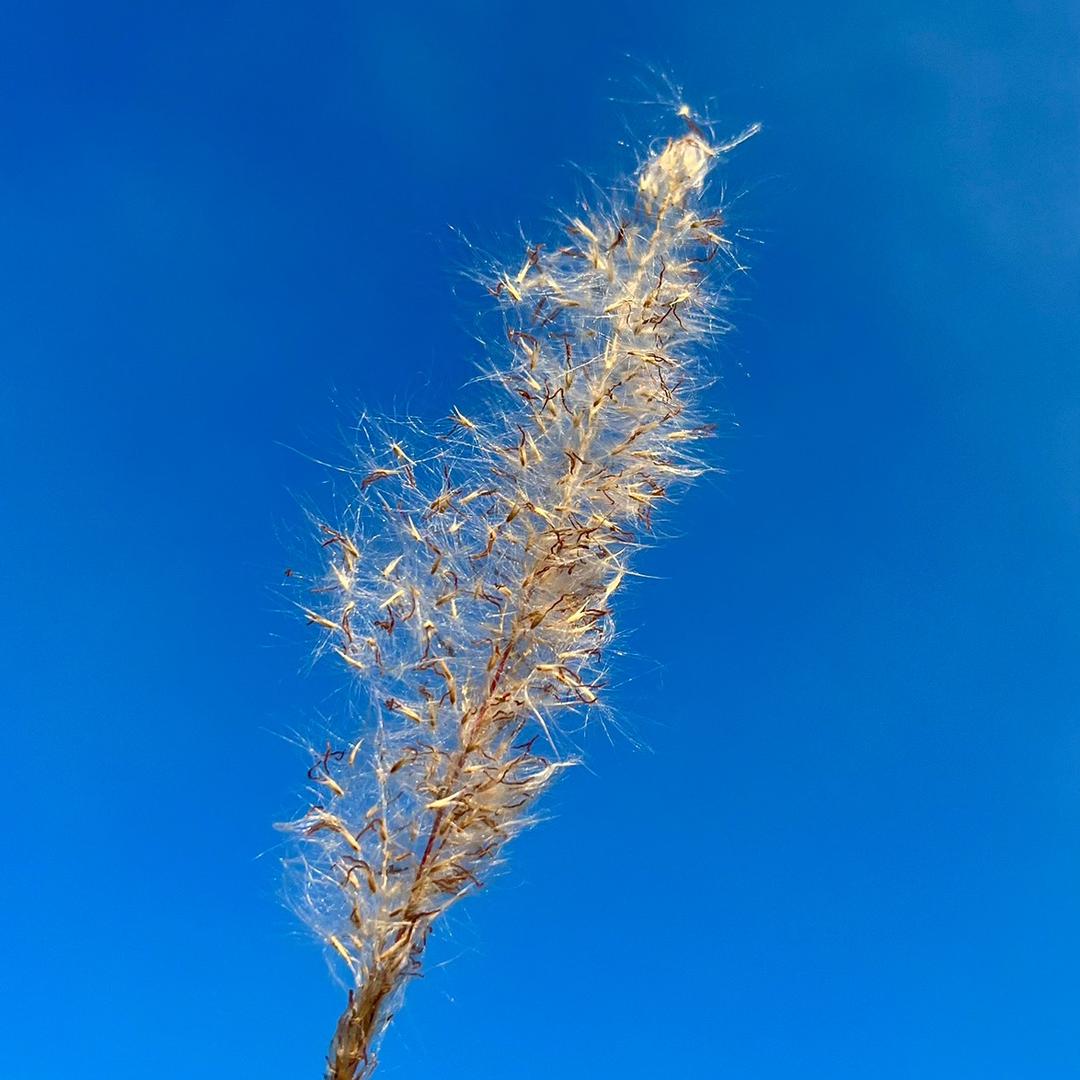 晨与夕
