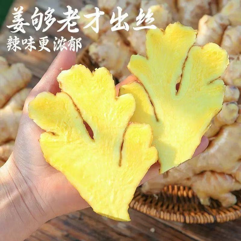 阿姜的菜园直达