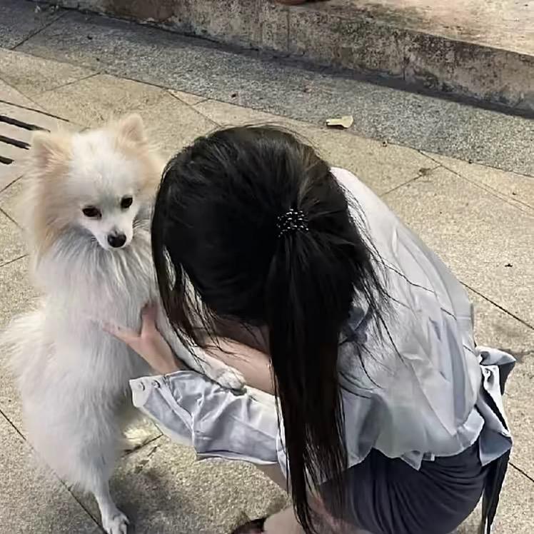 盼好·