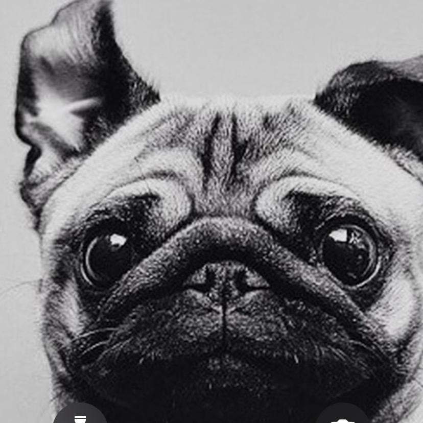 易高定制-设计师t