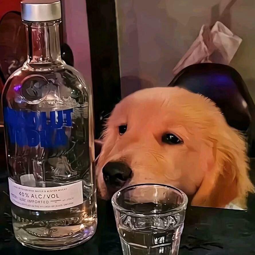 涛涵涵