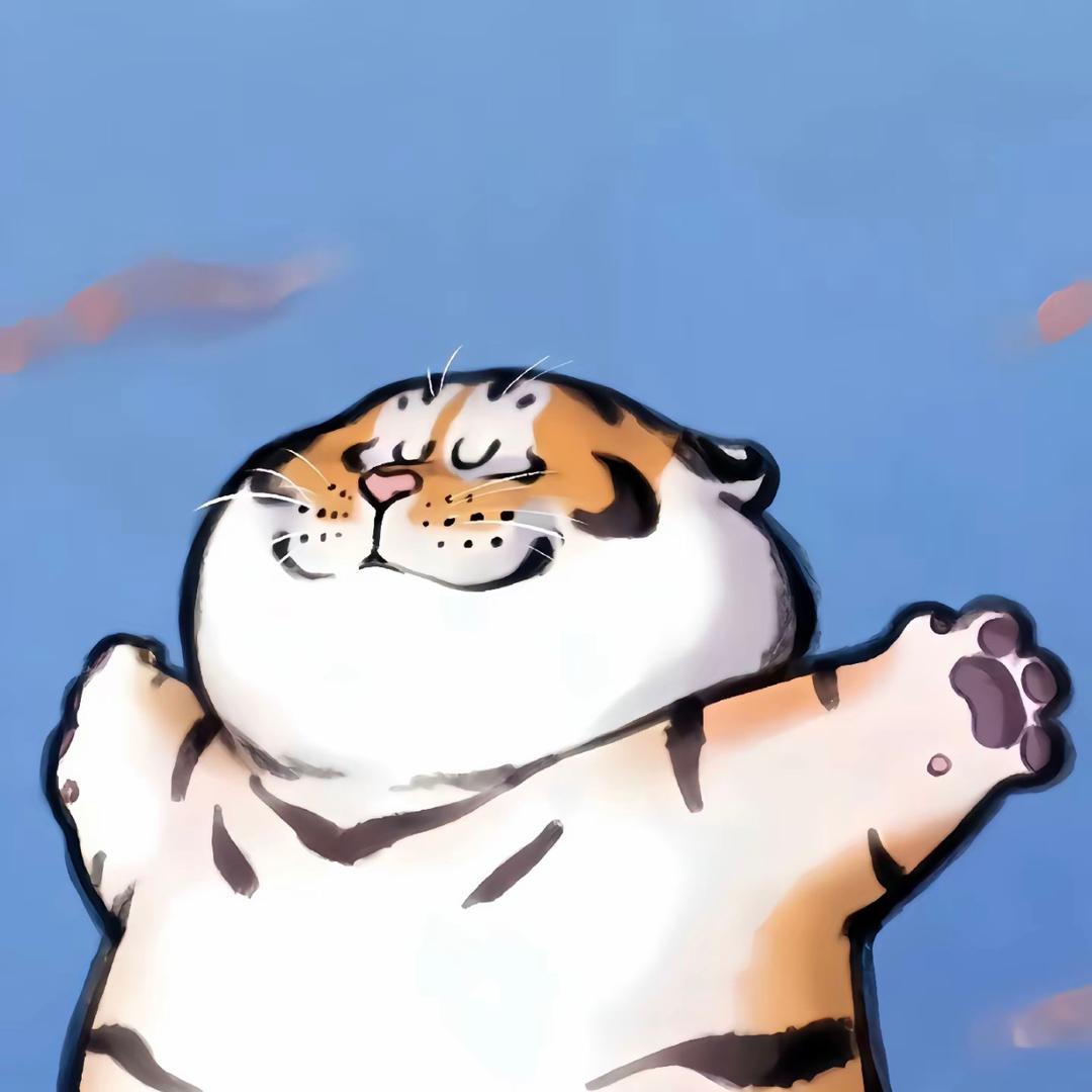 CF懒猫-