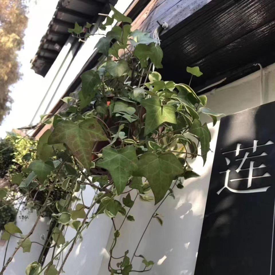 大唐辣妈(紫金城店)