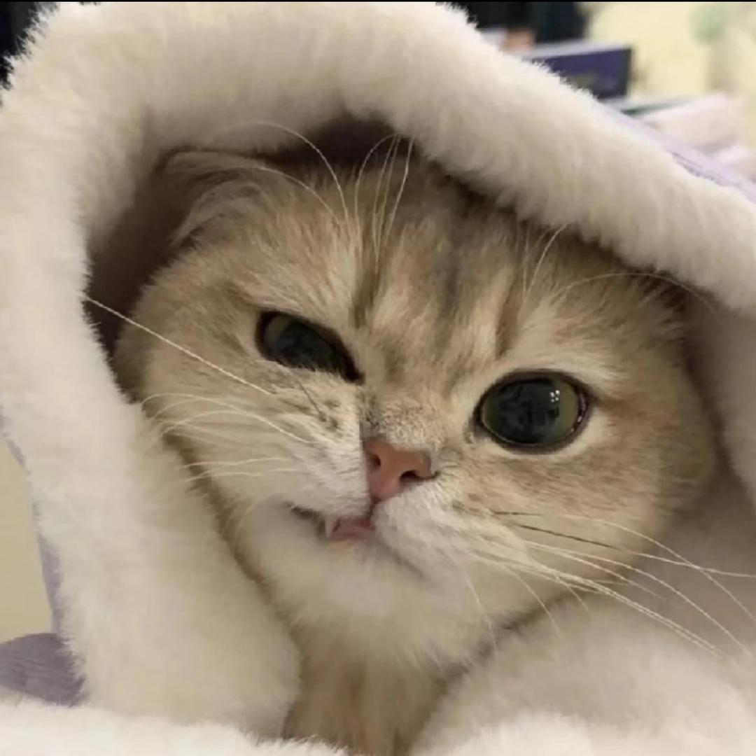 忧郁且阳光的He🫧