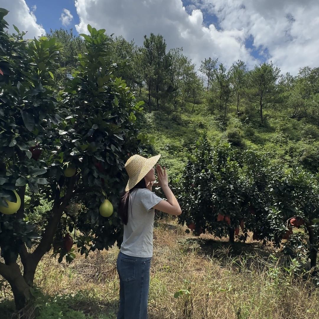 优得乐精品水果