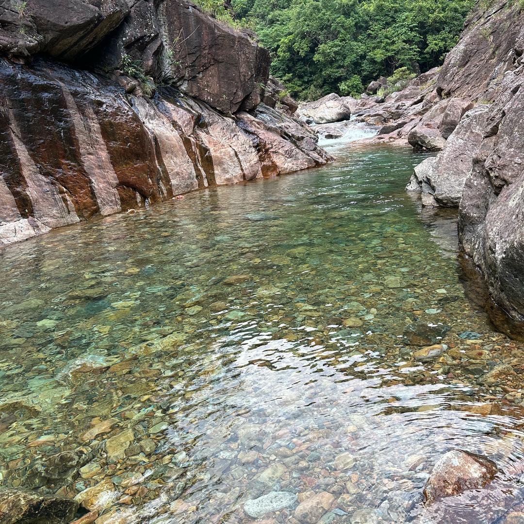 小何同学