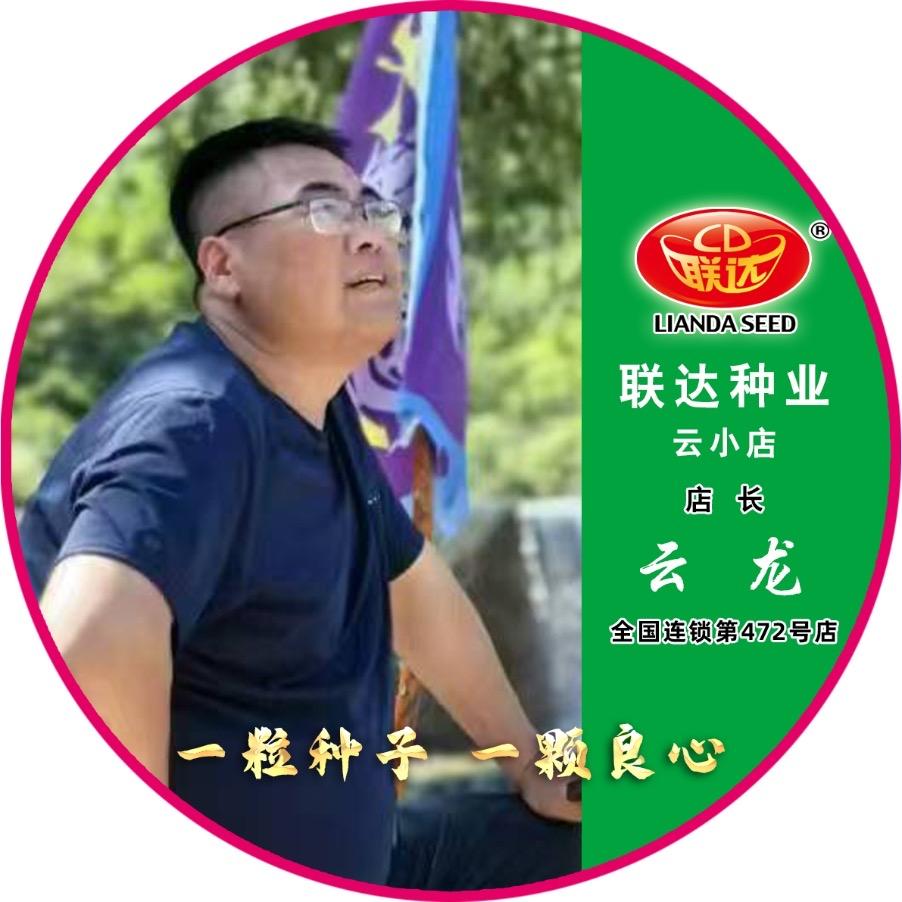 乌拉街阳光农资-六颗星化肥