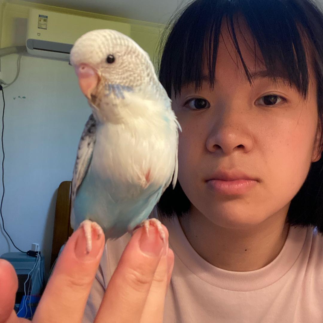 阿榕的快乐生活