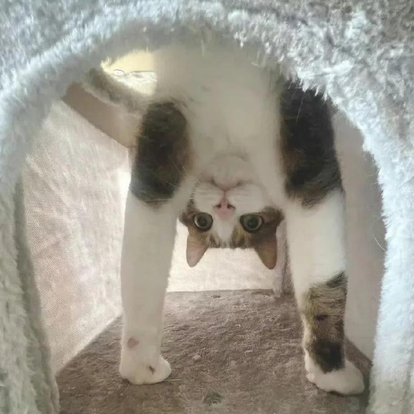 我爱卖点好东西