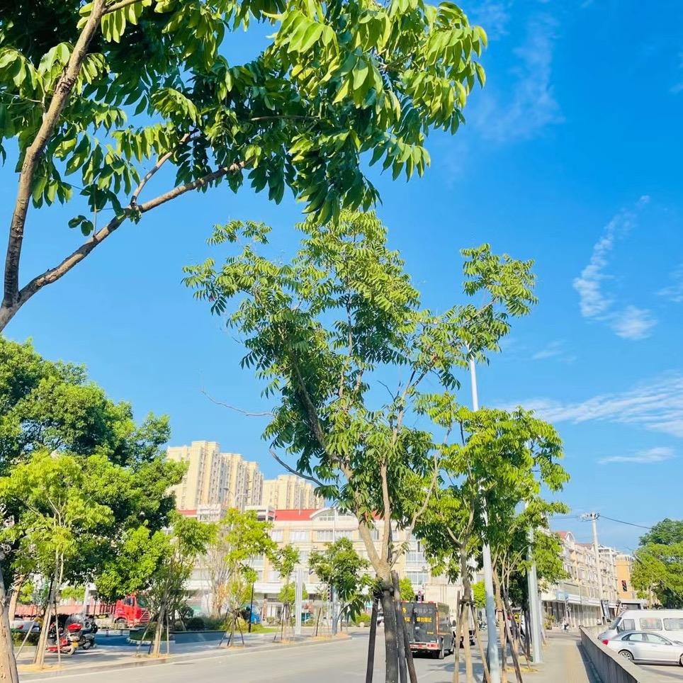 一路向前_