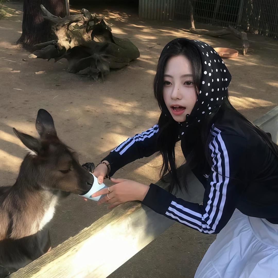 ㅤㅤ  ㅤ ㅤ