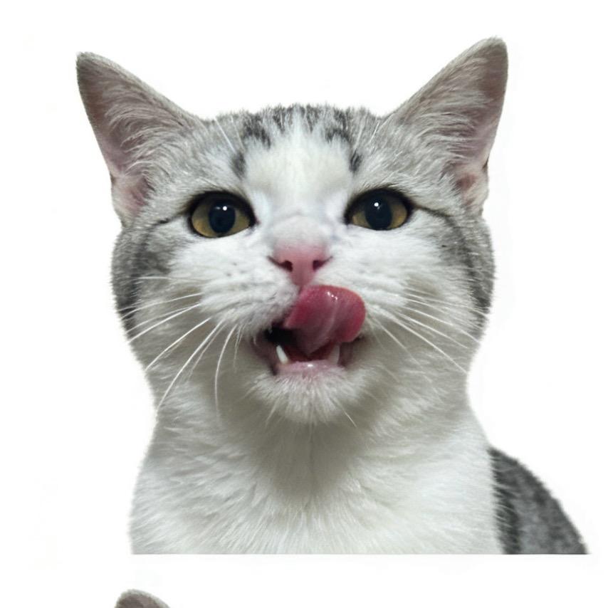 我是妈妈最爱的小鼻嘎