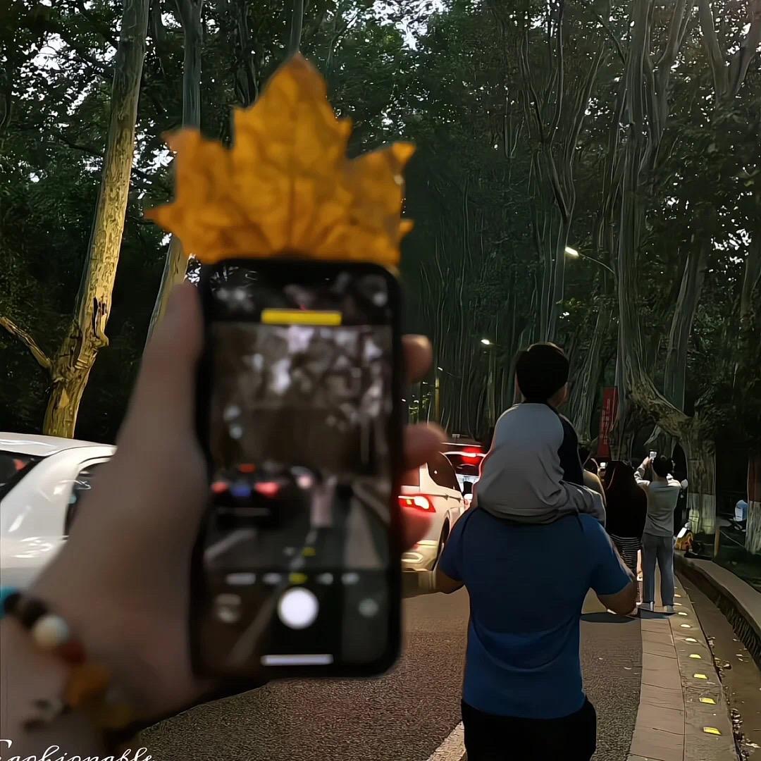 风行晓虎🐯（推荐有🧧）