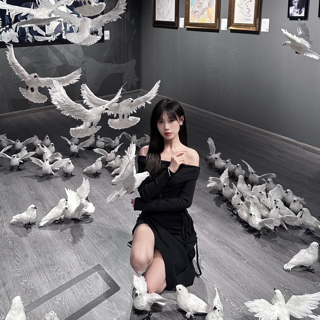 猫头小烨鹰
