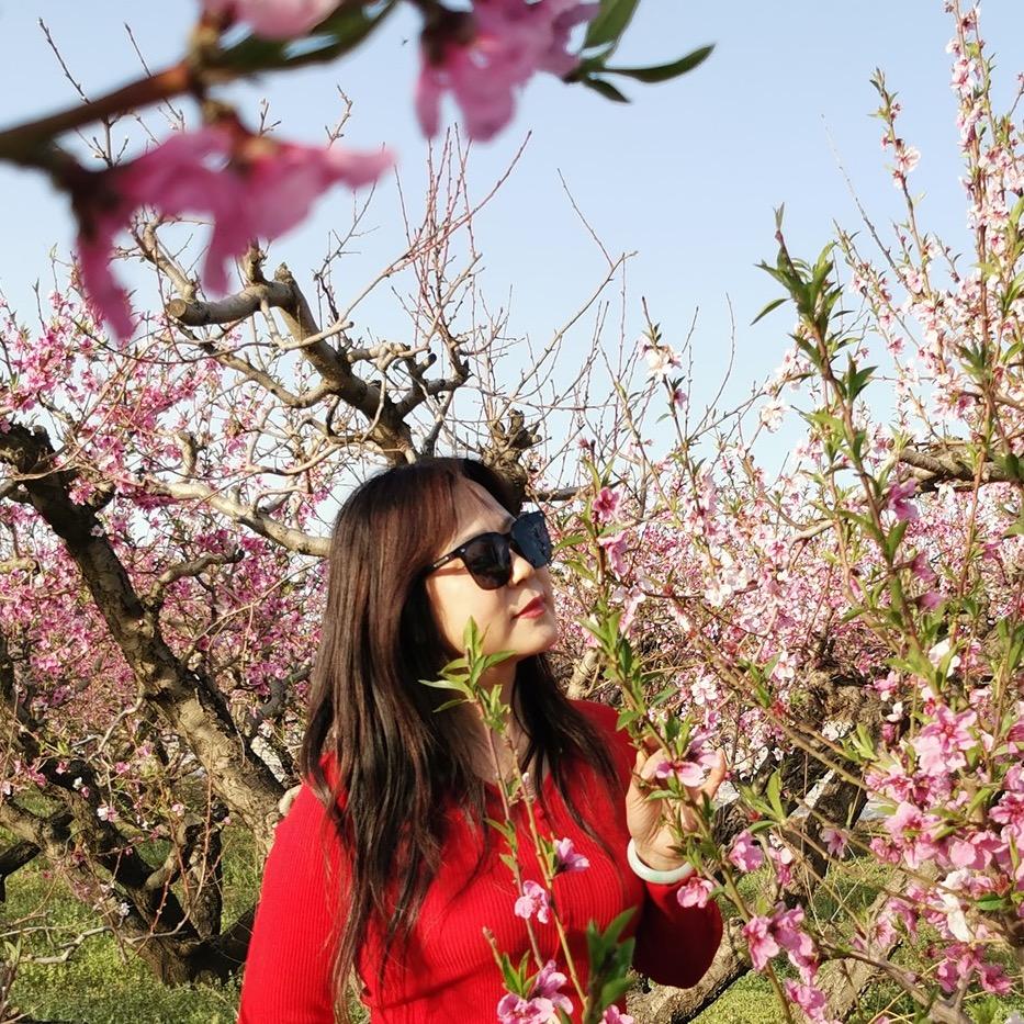春暖花开
