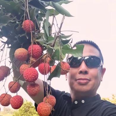 AAA.水果批发李哥（送货上门）