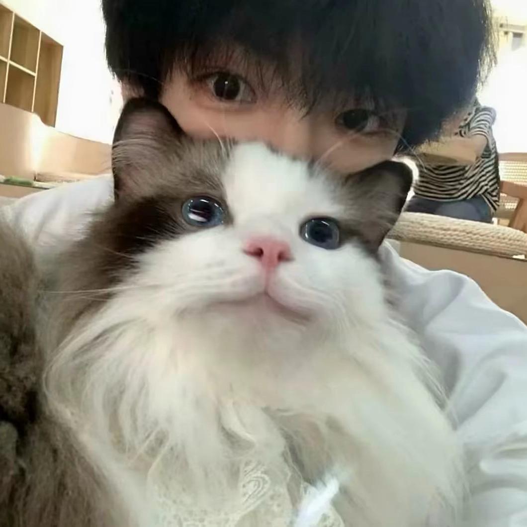 不语