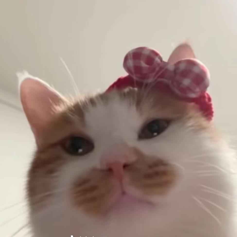 圆方小王