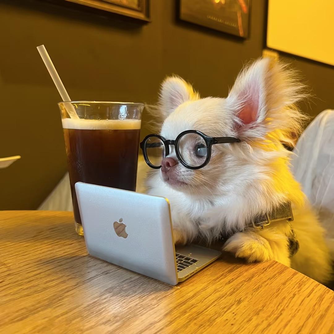 黄皮粟米条兔(见过菌版)