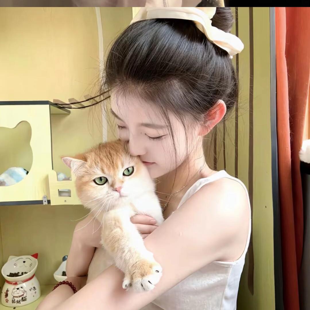 豆豆.