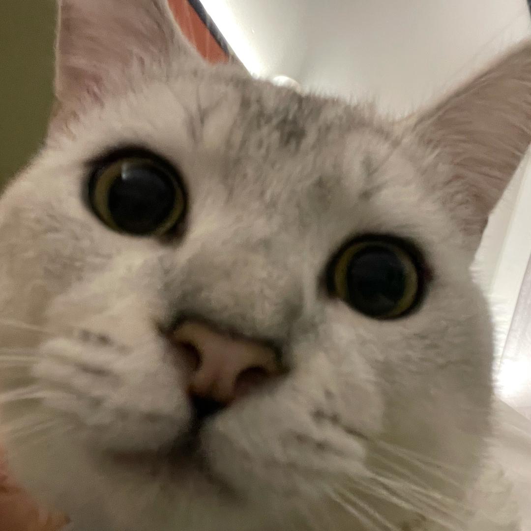 肚肚*