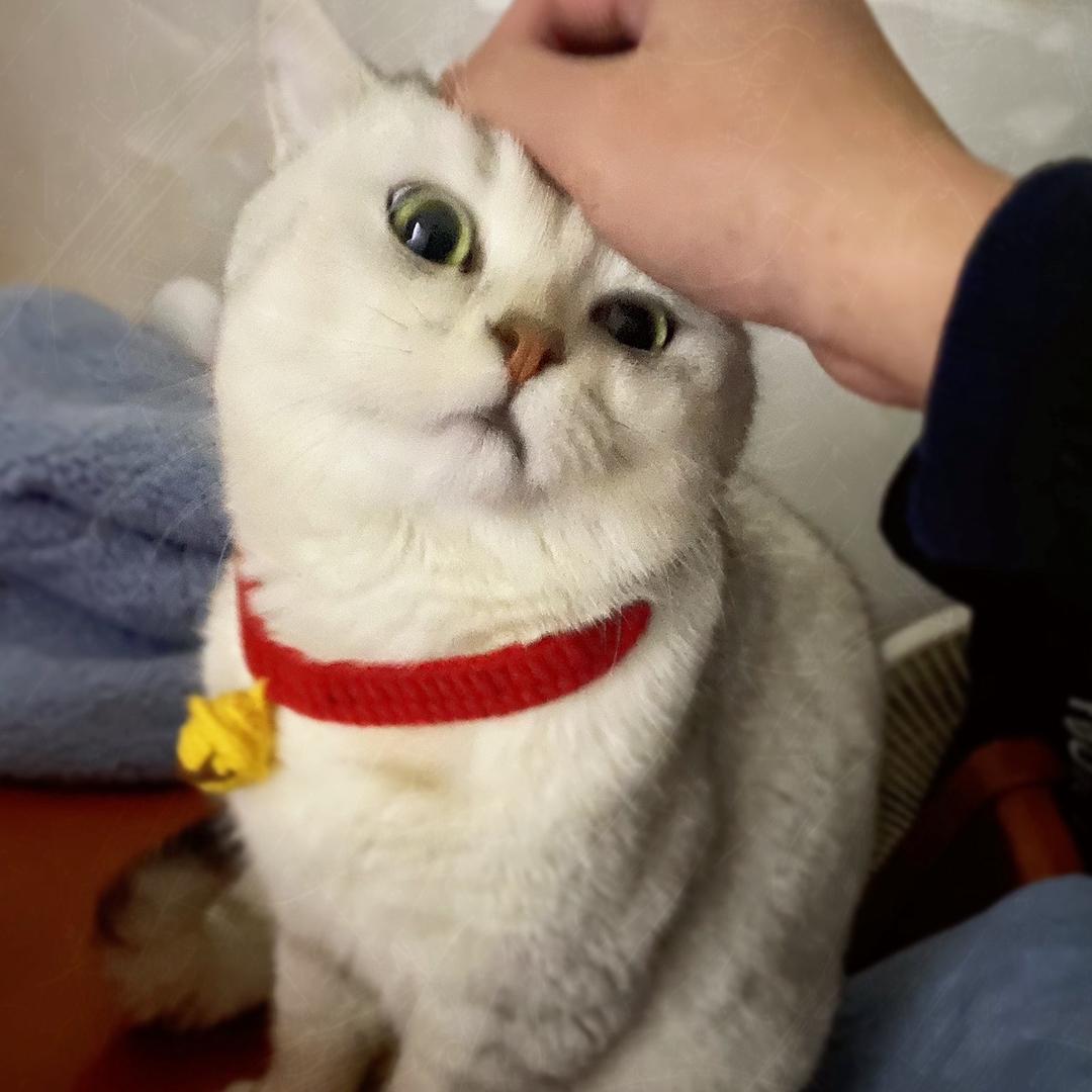 JIE