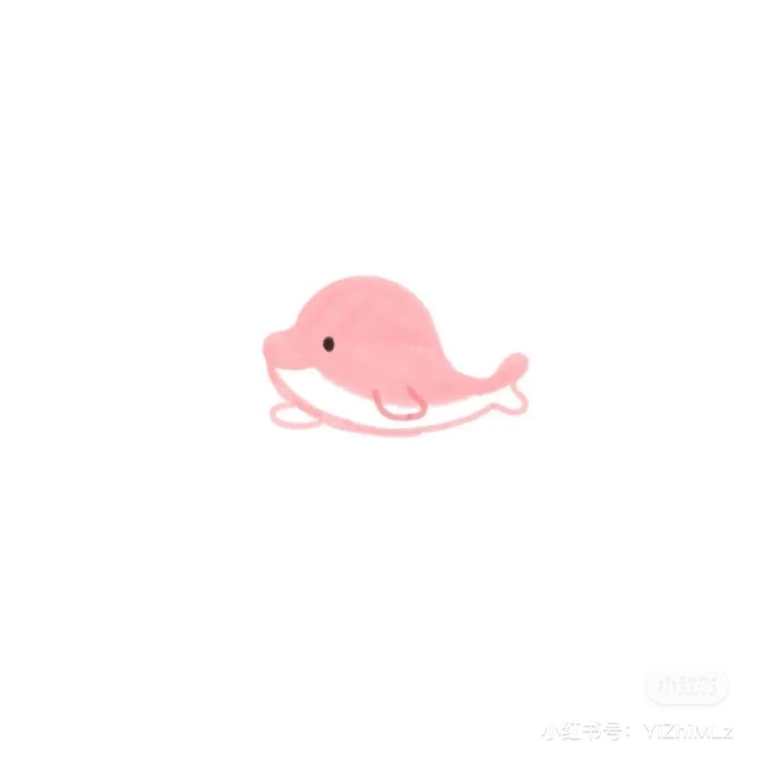 康宝宝