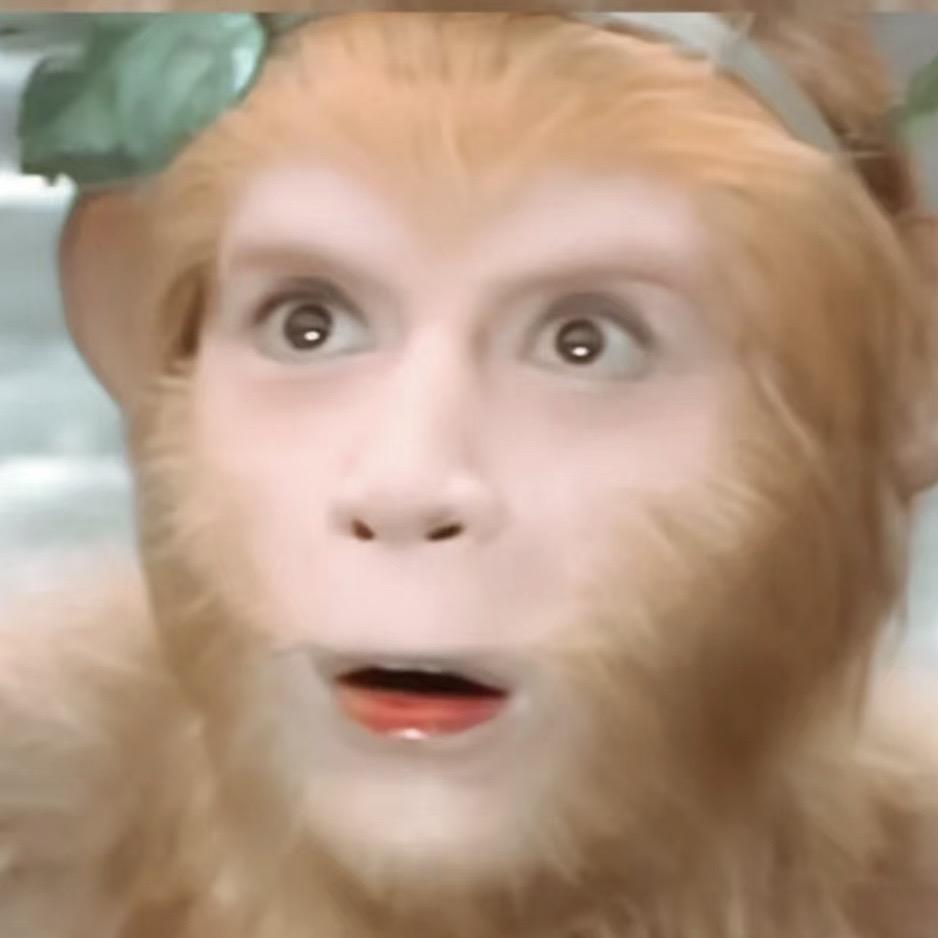 我爱孙悟空🐒