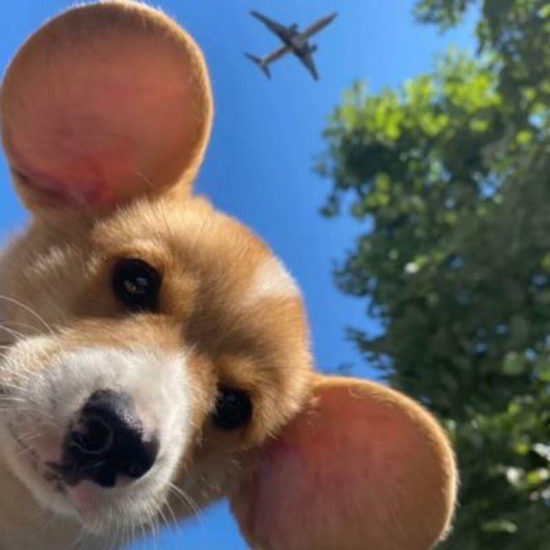 古希腊掌管失眠的神