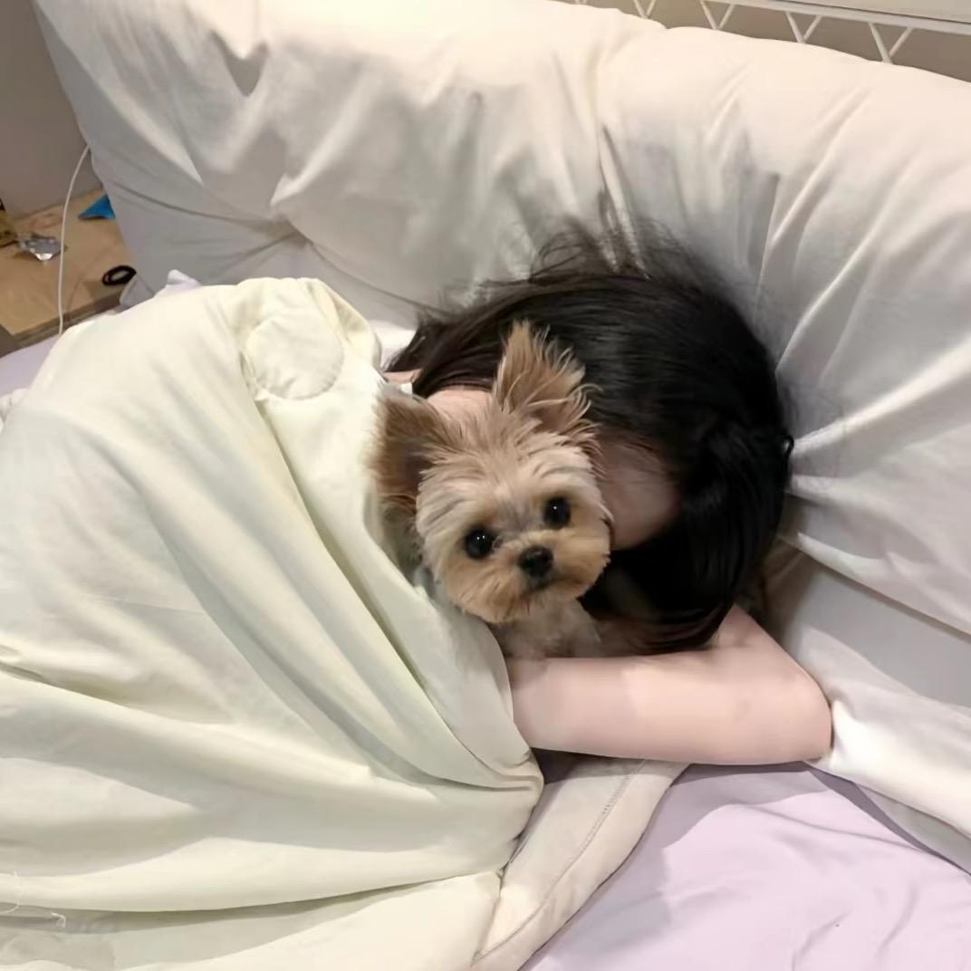婷^ㅤ