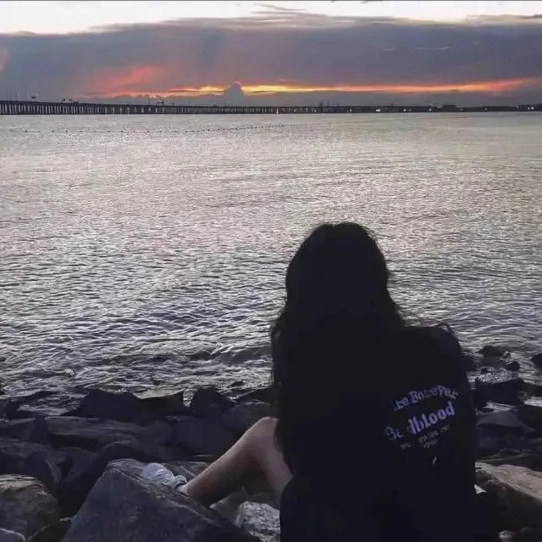 想养¹只鲨鱼🦈ˣʸ