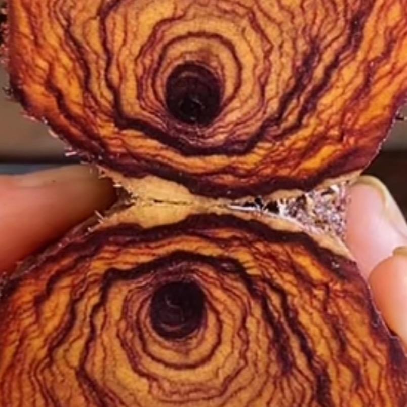 阿涵花梨工厂店