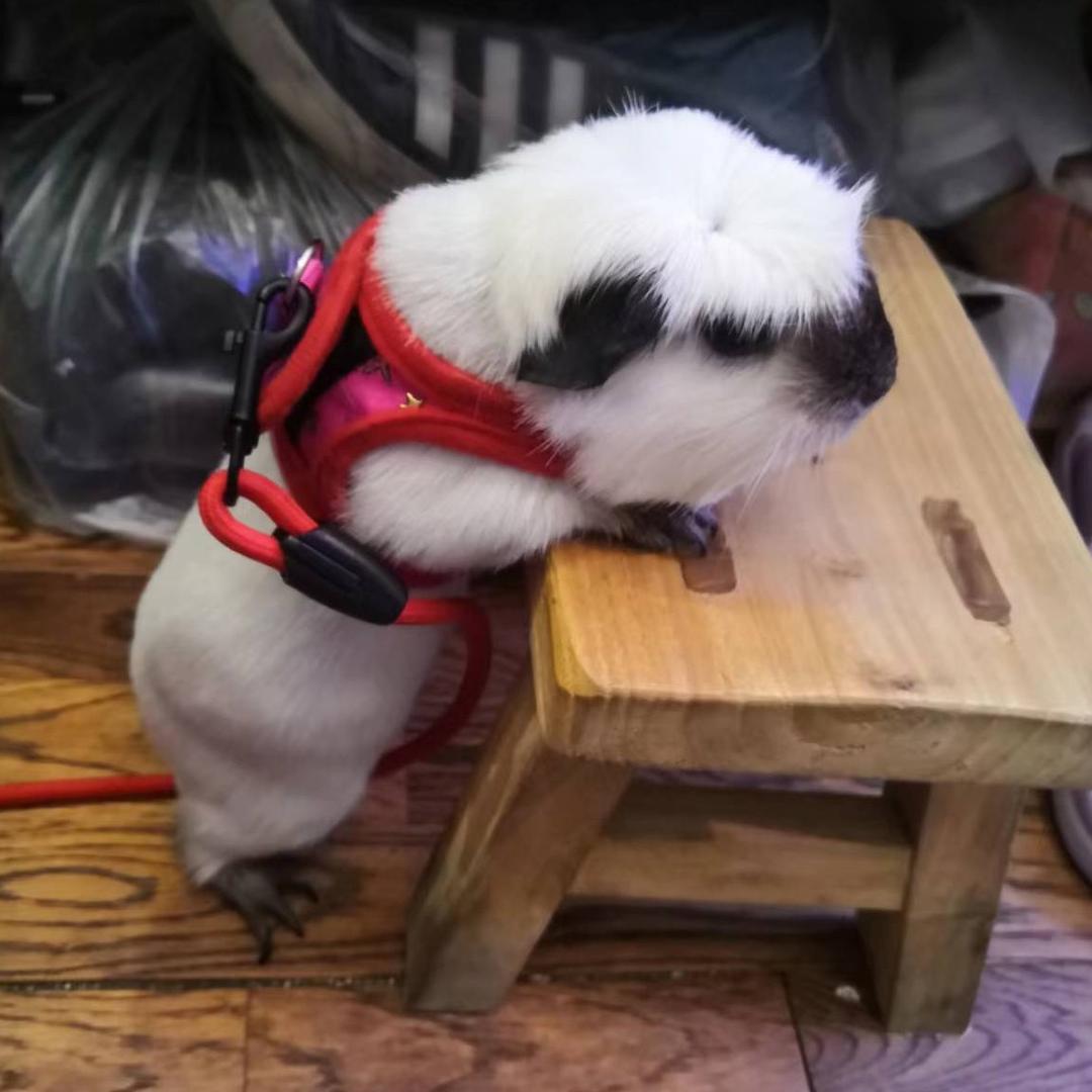 莫言（快乐生活）