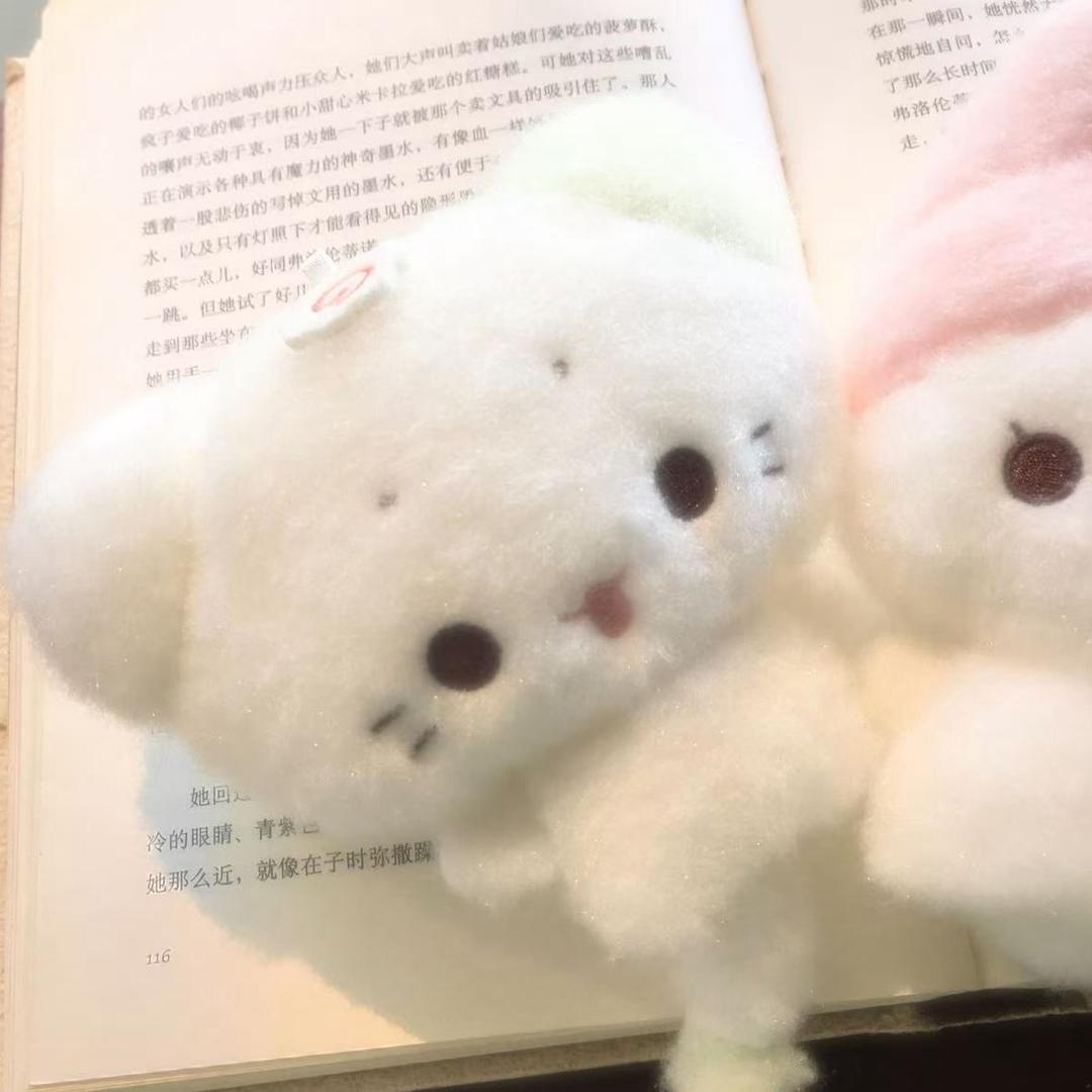 超级无敌真心大王