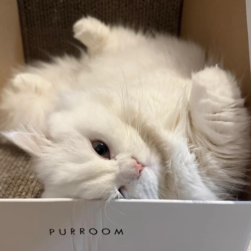 潇潇乐🐰